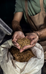 Close up of male brewer hands examining barley in brewery warehouse.