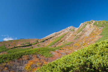 木曽御嶽山の紅葉