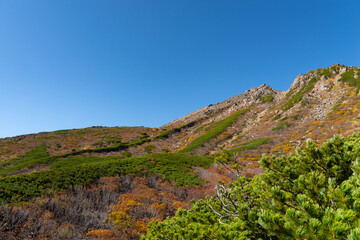 Obraz premium 木曽御嶽山の紅葉