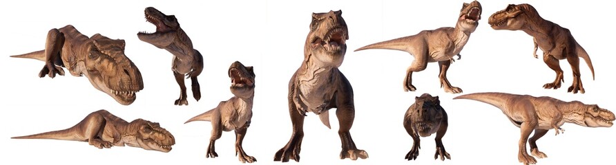 set of trex tyrannosaurs in the corners walking, standing, sleeping, roaring isolated on blank background PNG