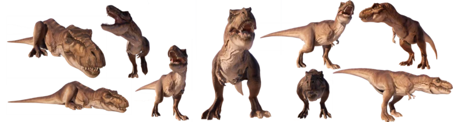 Deurstickers set of trex tyrannosaurs in the corners walking, standing, sleeping, roaring isolated on blank background PNG © akiratrang