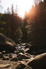 Fluss im Harzer Verlobungsinseln