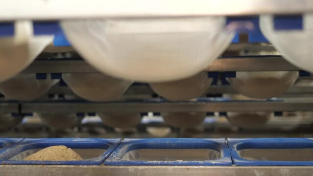 Bread rises in baskets in a industrial bakery factory