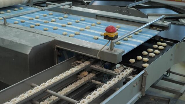 Raising buns falling on baking tray from a conveyor in a bakery factory