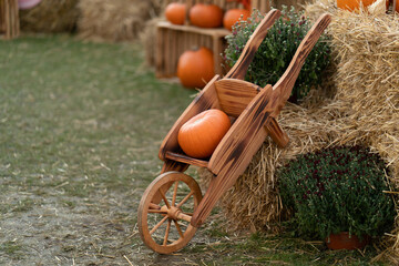 A pumpkin for Halloween in a rustic wooden cart next to straw bales on the farm.