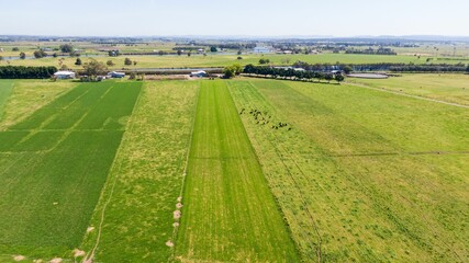 Agricultural, green fields and countryside houses by the riverbed, aerial