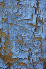 Obraz premium Old wooden door damaged from time close up background high quality big size print