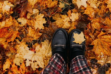 Autumn bright golden maple leaves on the ground, top view of black shoes and the edge of trousers,...