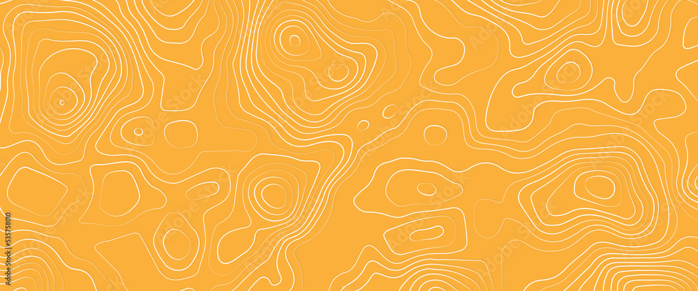 Poster topographic map, geographic mountain relief. abstract concept graphic element and geography scheme, 