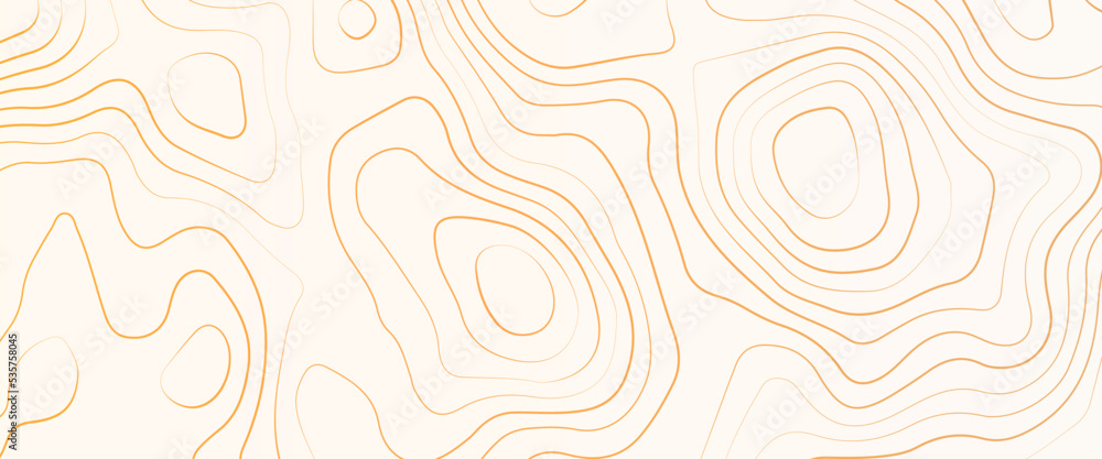 Poster topographic map, geographic mountain relief. abstract concept graphic element and geography scheme, 