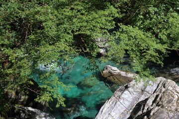 モミジと安居川　安居渓谷　（高知県　仁淀川町）