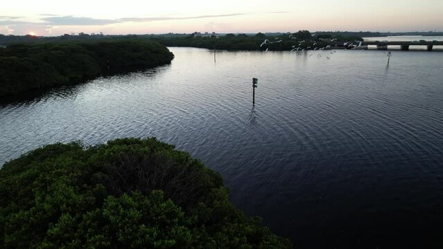 Drone shot of Sunrise and flock of birds over the Braden River, Florida