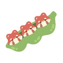 cute red pandas inside the green peas.