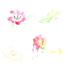 Watercolor set floral, plants, nature. Art decoration, sketch. Illustration hand drawn modern