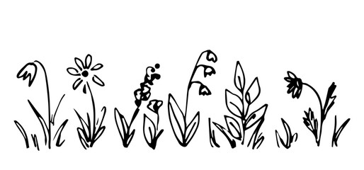 Simple hand drawing vector sketch black outline. Border with meadow flowers, wild grasses, lawn. Nature and plants. 