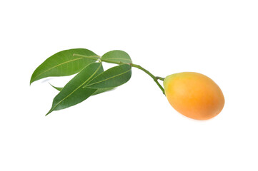 Sweet Yellow Marian plum with leaves isolated on white background.