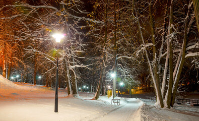Snowy winter landscape with snow covered trees along the alley in empty night park and shining lanterns.