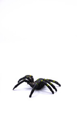 A black plastic spider on isolated background, Top view of a plastic spider on white background