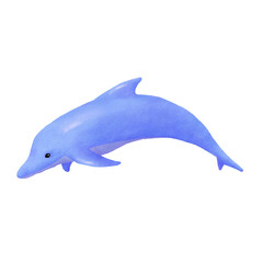 dolphin marine life digitally drawn illustration PNG