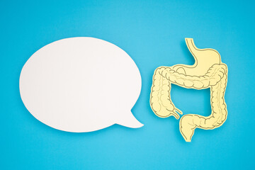 White speech bubble and a large intestine shape made from yellow paper over a blue background