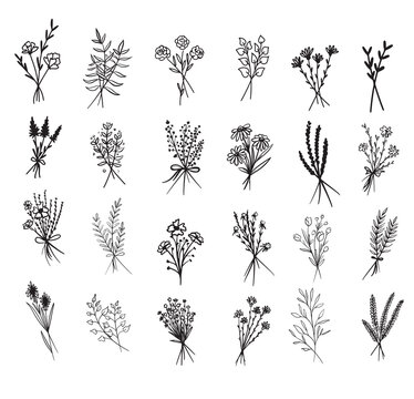 Collection of bouquets of wild flowers.Flower compositions sketch.Hand drawn botanical elements.Vector illustration.