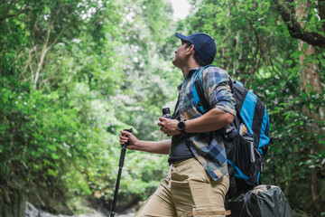 Traveler standing with trekking poles on the rock and looking at green forest view.