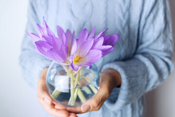 A woman holds a glass vase with autumn crocuses in her hands. Autumn flowers Colchicum. Close up.