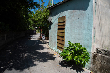 路地裏の木陰と古いコンクリートの壁と木の扉