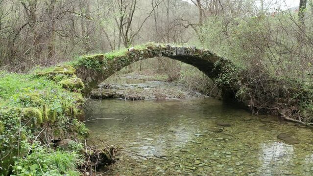Old arch bridge in the forest, made of stone, covered in grass and green moss. Stream of water flowing under troll bridge from a fairy tale in the middle of beautiful park with bare trees and lake.