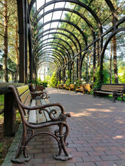 In a city park, a long arched alley in the perspective of a tunnel with rows of benches on the sides