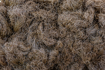 background close up of straw