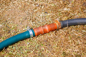 Water hose connector on garden background