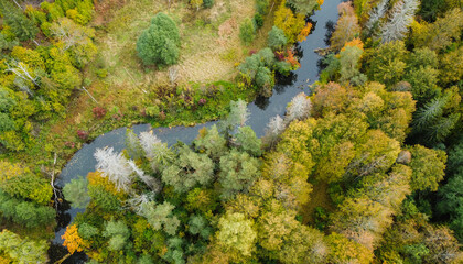 forest and river at sunset in autumn. Aerial view of wildlife in Latvia, Europe
