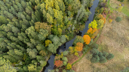 forest and river at sunset in autumn. Aerial view of wildlife in Latvia, Europe