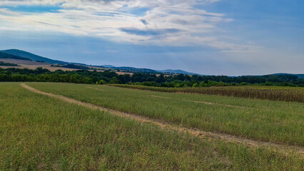 landscape with mountains
