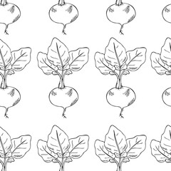 seamless colorless pattern with radish, contour drawing by hand, hatching