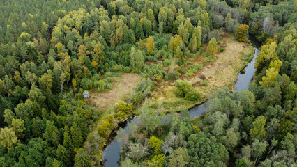 forest and river at sunset in autumn. Aerial view of wildlife in Latvia, Europe