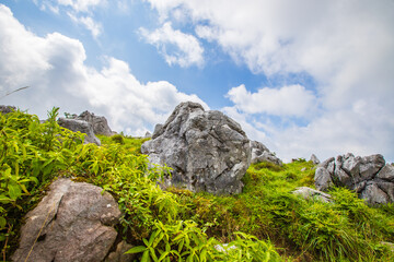 四国　カルスト台地の風景　
