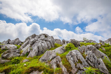 四国　カルスト台地の風景　
