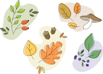 vector set of autumn leaves and berries