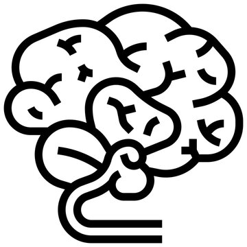 Brain Icon