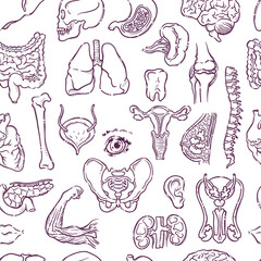 Humans and animals internal organs. Seamless pattern of body parts on a medical theme for posters, leaflets, books, stickers. Human organ anatomy set. Vector hand drawn style illustration.