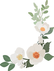 white camellia flower bouquet wreath frame flat style