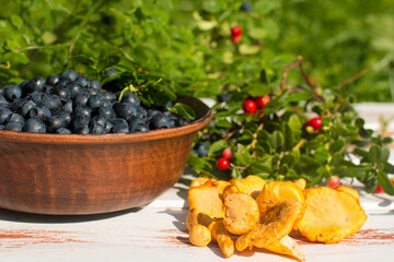 Blueberries and red cranberries. Autumn harvest