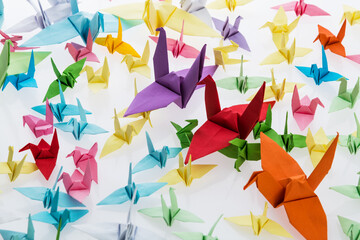 Colorful origami cranes on white background