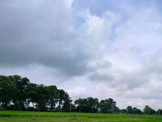 field and sky