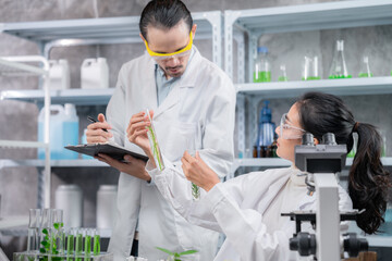 medicine biology laboratory of organic plant experiment test in glasses tube of cosmetic chemistry research medicals, chemical biotechnology science of nature leaf and green herbal oil technology