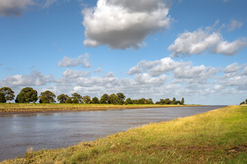 Trees along the river Nene on an autumn afternoon, Lincolnshire, East Midlands, England