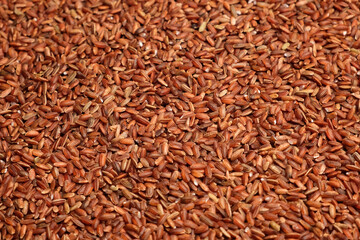 Uncooked Red Rice Wallpaper. Long Brown Rice Surface. Close Up. Grains fall poured a stack. World crisis, export, import. Harvest problems, sanctions. Increase prices and shortages of food supplies