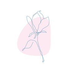 Monoline Flower Illustration